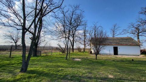 Eladó Ház 6100 Kiskunfélegyháza 