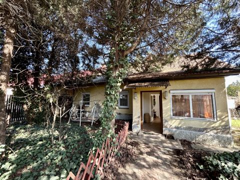 Eladó Ház 4400 Nyíregyháza , Rákóczi utcán tágas, saját kerttel rendelkező ikerház eladó!