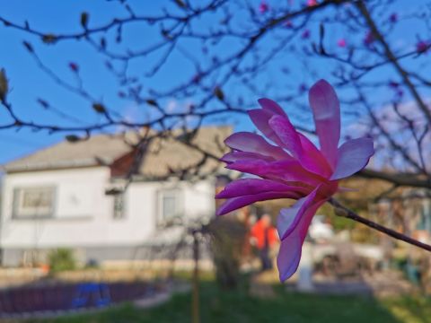 Eladó Ház 2092 Budakeszi , Nagyszénászugban jó megközelíthetőséggel