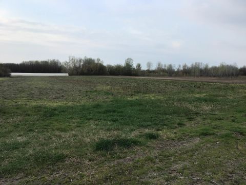 Eladó Mezőgazdasági 6783 Ásotthalom 