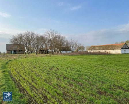 Eladó Ház 6033 Városföld , Tágas tanya eladó nagy telekkel 