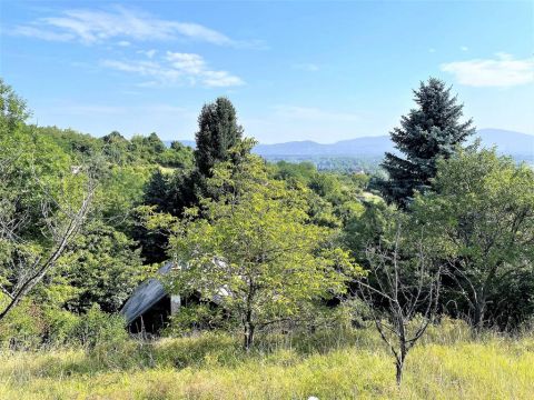 Eladó Telek 2023 Dunabogdány Dunabogdányban természet közeli telek 