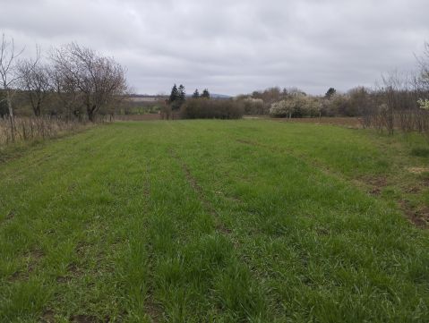 Eladó Telek 8045 Isztimér 