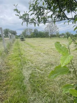 Eladó Telek 8152 Kőszárhegy Táncsics u.