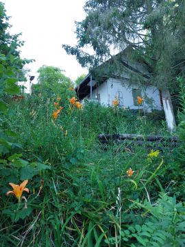 Eladó Telek 2023 Dunabogdány , Dunabogdányban természet közeli telek 