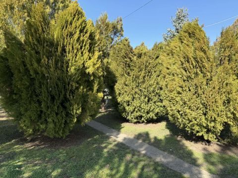 Eladó Ház 2740 Abony Abony