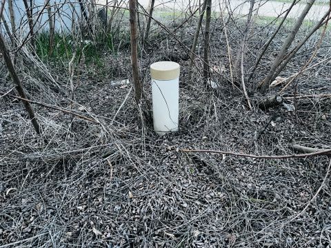 Eladó Telek 2721 Pilis Belterületi építési telek, 1668 négyzetméteres, 30 % beépíthető!