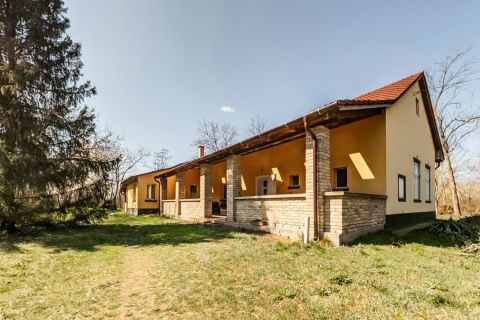 Eladó Ház 6050 Lajosmizse , Lajosmizse szélén modernizált kisbirtok eladó