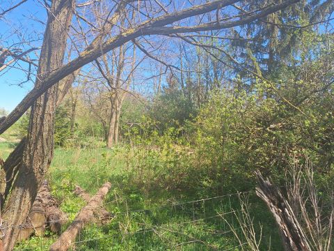 Eladó Telek 9742 Salköveskút , Belterület