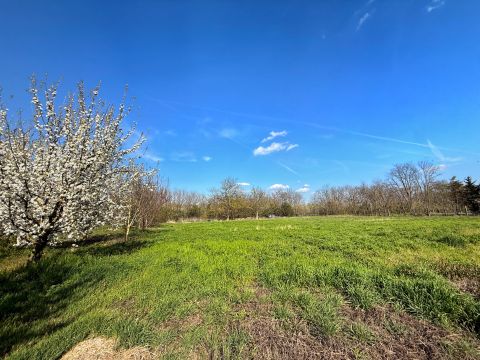 Eladó Telek 8127 Aba , Abán fő út mellett, építési telek