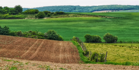 Eladó Telek 2064 Csabdi , Külterületi, tanyagazdaságnak alkalmas