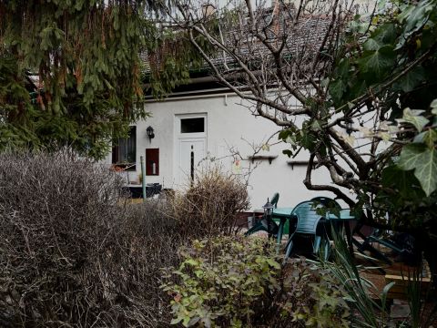 Eladó Lakás 1135 Budapest 13. kerület , Kertkapcsolatos lakás Angyalföldön