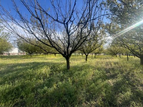 Eladó Telek 6034 Helvécia 