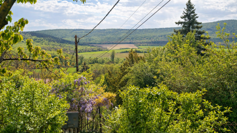 Eladó Ház 2013 Pomáz 