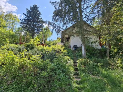 Eladó Telek 2023 Dunabogdány , Gyönyörű panorámás telek 