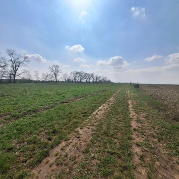 Eladó Telek 2071 Páty 