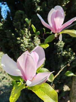 Eladó Ház 7095 Újireg Csend, tér és lehetőség