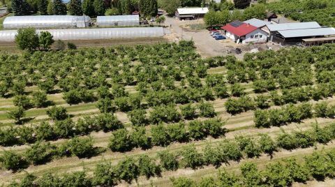 Kiadó Mezőgazdasági 3630 Putnok Fehér Tanya 2.