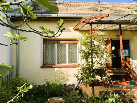 Eladó Ház 2314 Halásztelek , 2314 Halásztelek, Központ