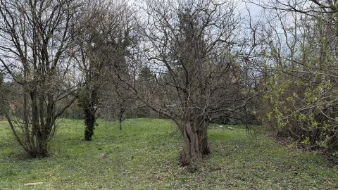 Eladó Telek 2000 Szentendre Pismány alja