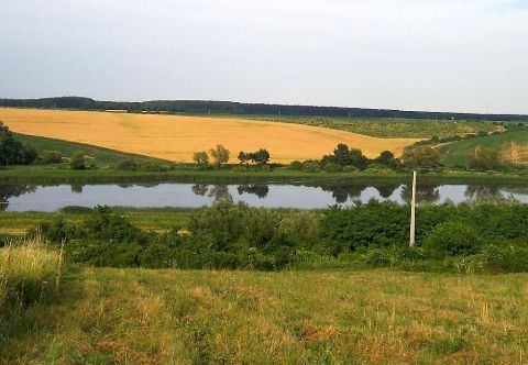 Eladó Telek 7772 Villánykövesd , 7772 Villánykövesd, Külterület