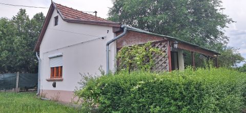 Kiadó Ház 6000 Kecskemét , FELÚJÍTOTT 1 SZOBÁS KIS HÁZIKÓ KIADÓ 