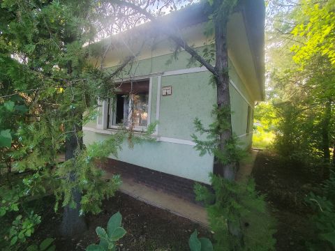 Eladó Ház 2220 Vecsés Halmi Telep 