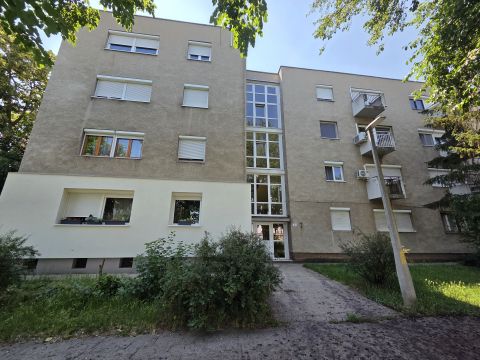 Eladó Lakás 7623 Pécs 