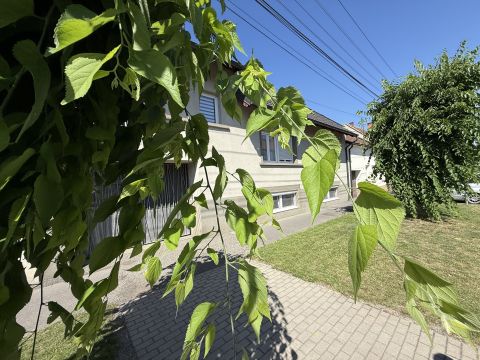 Eladó Lakás 9700 Szombathely , Kispityer Halászcsárda környéke