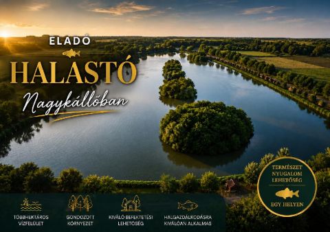 Eladó Vendéglátás 4320 Nagykálló , 4320 Nagykálló, Külváros