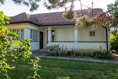 Eladó Ház 8145 Nádasdladány 