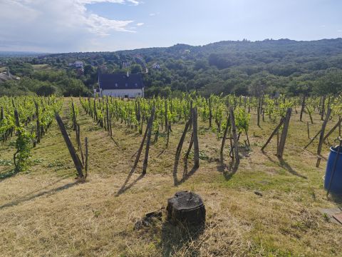 Eladó Telek 8096 Sukoró , Panorámás építési telek!