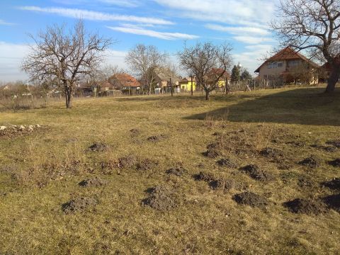 Eladó Telek 2485 Gárdony , a központ közelében