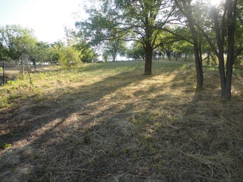Eladó Telek 2091 Etyek , Kócsag u.