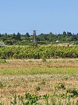 Eladó Telek 9400 Sopron 