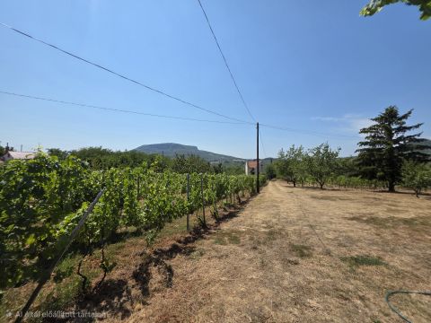 Eladó Ház 8257 Badacsonytomaj 