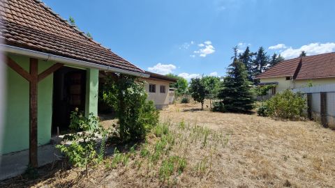 Eladó Ház 2252 Tóalmás , takaros paraszt ház nagy kerttel