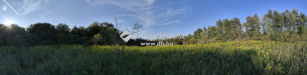 8313 Balatongyörök — 1/1