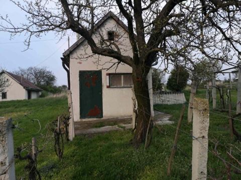 Eladó Mezőgazdasági 8181 Berhida , Berhida központ