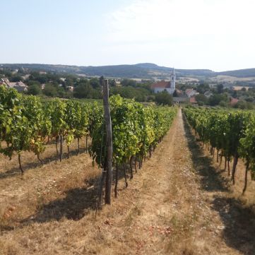 Eladó Telek 8272 Balatoncsicsó 