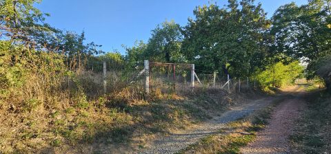 Eladó Telek 7720 Martonfa 