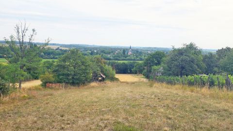 Eladó Telek 9724 Gyöngyösfalu , Pösei hegyen