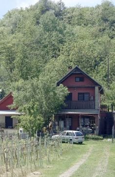 Eladó Ház 2457 Adony , Adony Szőlőhegyen, zártkerti ingatlan borospincével eladó!