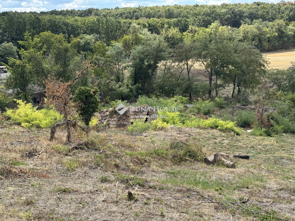 9090 Pannonhalma , Tóhegy utca közelében — 1/5