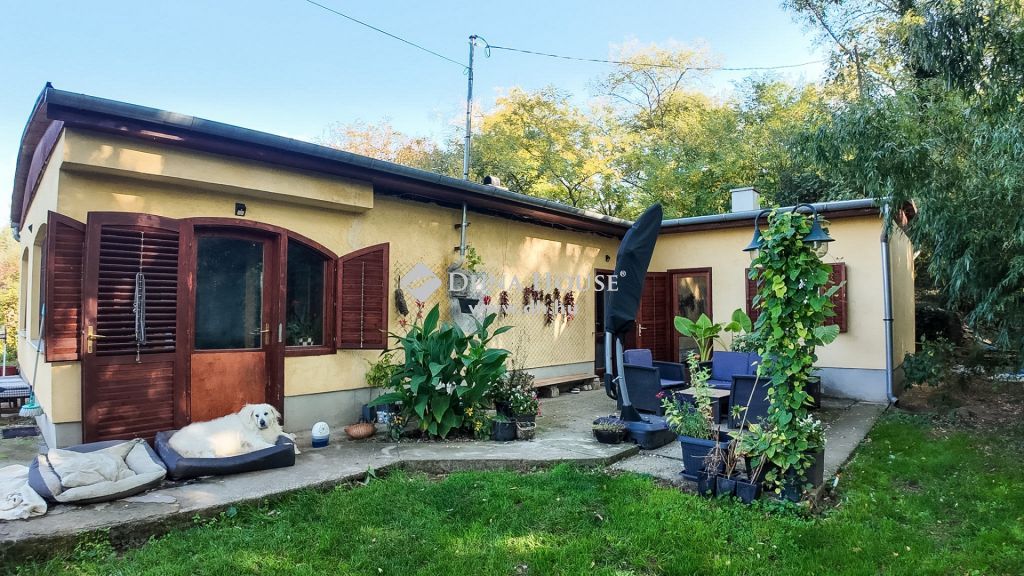 8257 Badacsonytomaj — 1/28